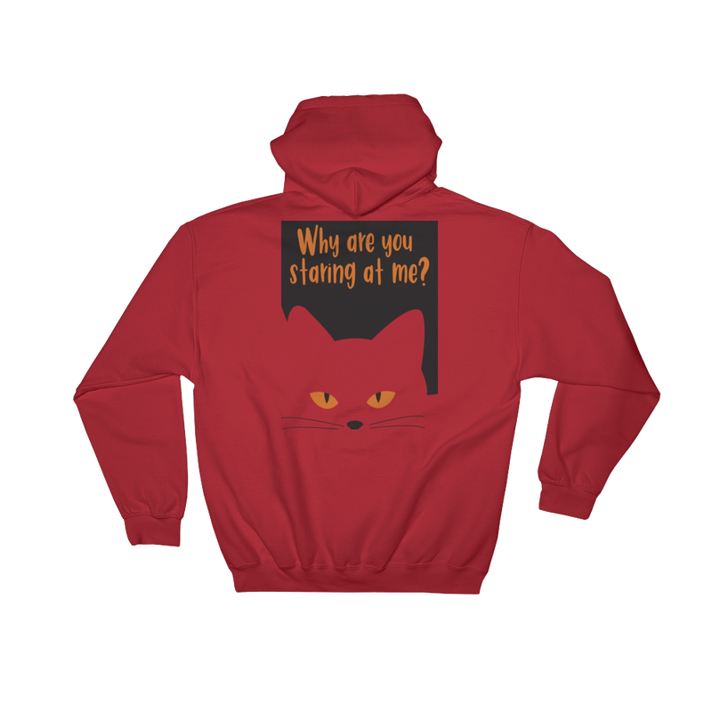 Inscrutable Cat 'Staring' Hooded Sweatshirt