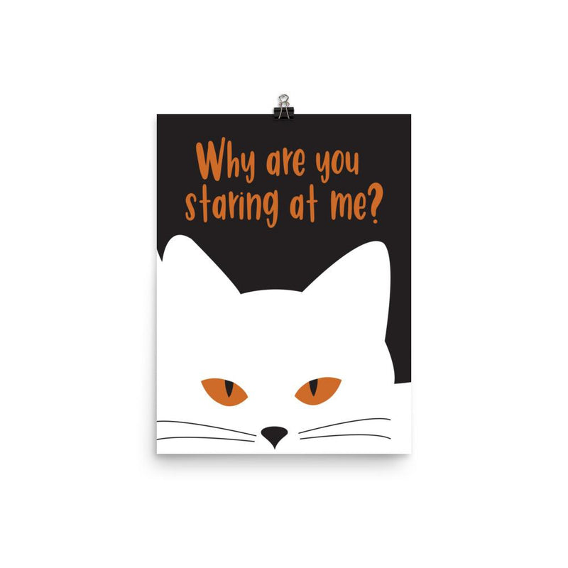 Inscrutable cat 'Staring' Unframed Matt Poster