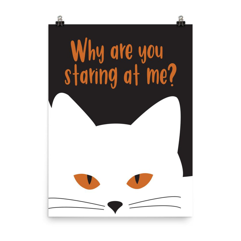 Inscrutable cat 'Staring' Unframed Matt Poster