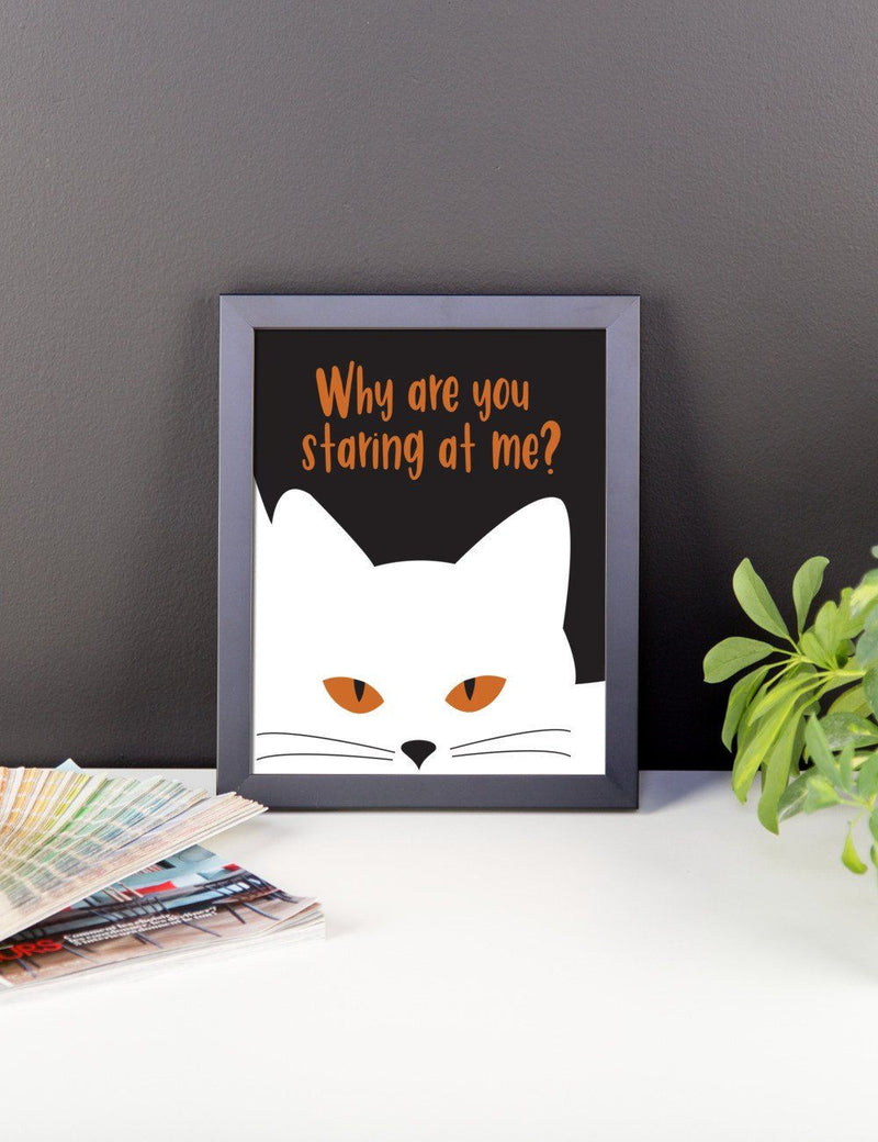 Inscrutable Cat 'Staring' Framed Matt Poster