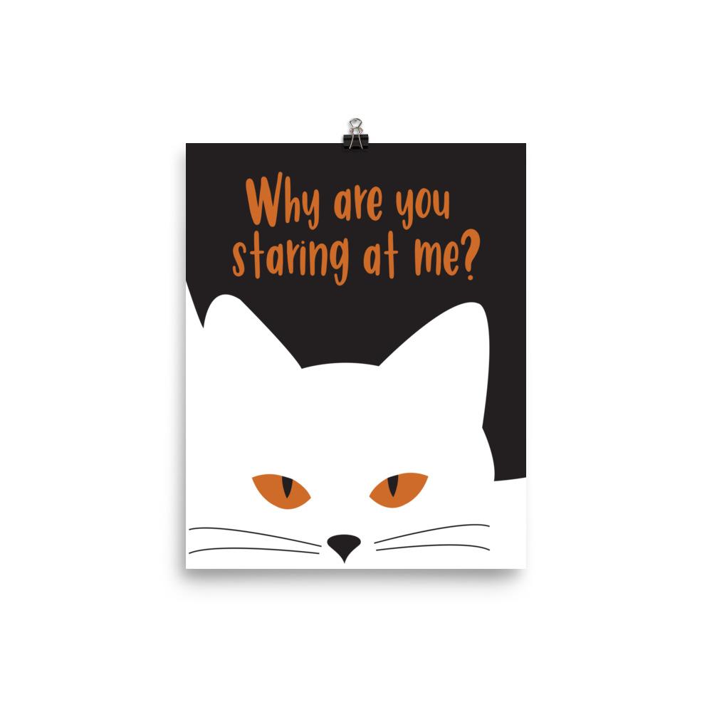 Inscrutable cat 'Staring' Unframed Matt Poster