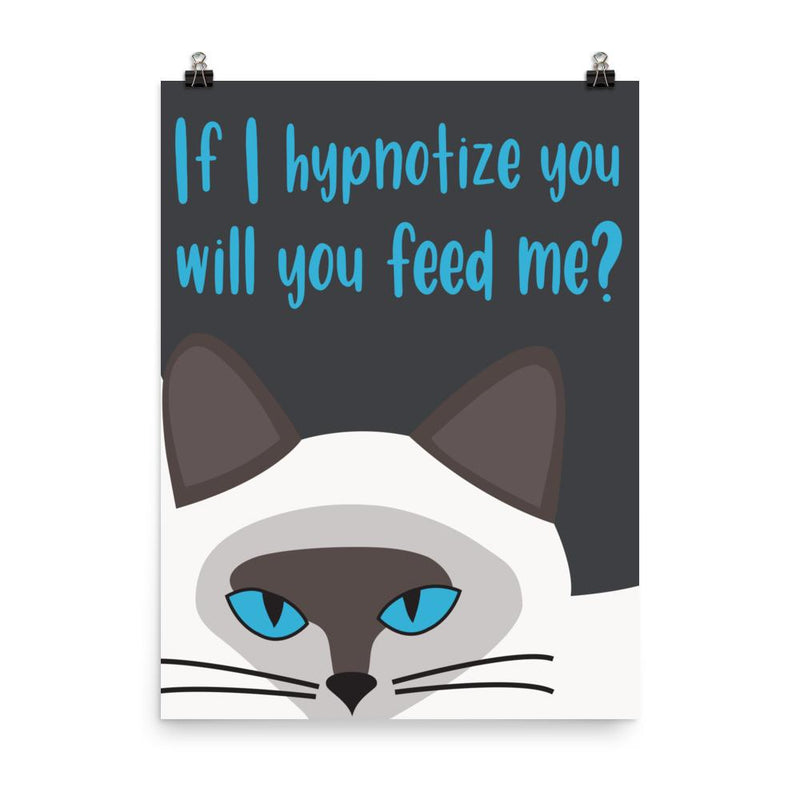 Inscrutable Cat 'Hypnotize' Unframed Matt Poster