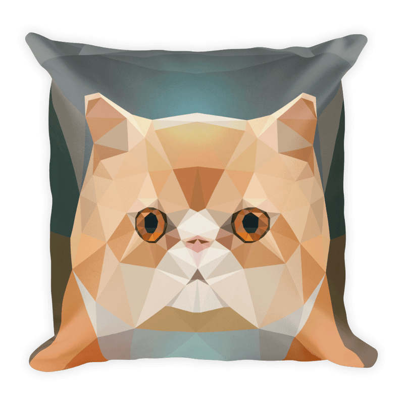Color-Me Cat 'Persian' Square Pillow
