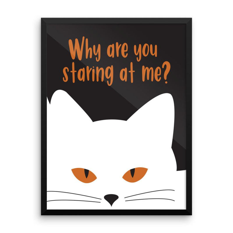 Inscrutable Cat 'Staring' Framed Matt Poster